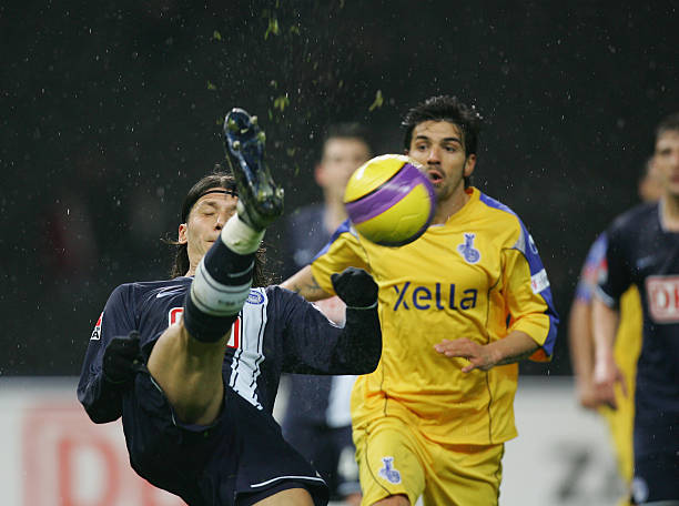 那些选择了 那些选择了